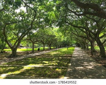 Avenue Of Arts In Tunghai University