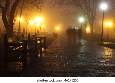 The Avenue Of City Park Is Shown At Night In A Fog