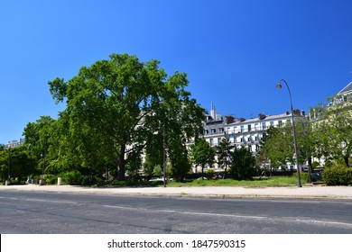 Avenue Foch In Paris, France