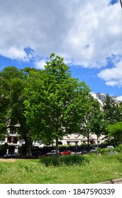 Avenue Foch In Paris, France