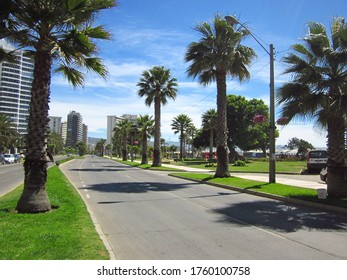 An Avenue On The Coast Of Viña Del Mar Beach