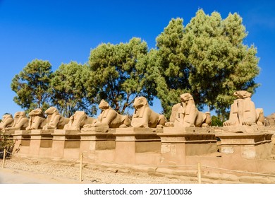 Avenue of the ram-headed Sphinxes in Karnak Temple. Luxor, Egypt