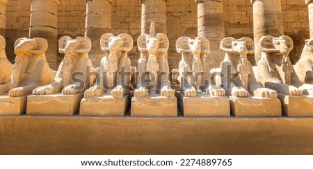 Avenue of the rams in the Karnak temple, Luxor Egypt