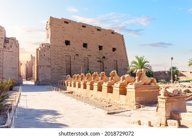 Avenue of Sphinxes near the Karnak Temple entrance, Luxor, Egypt