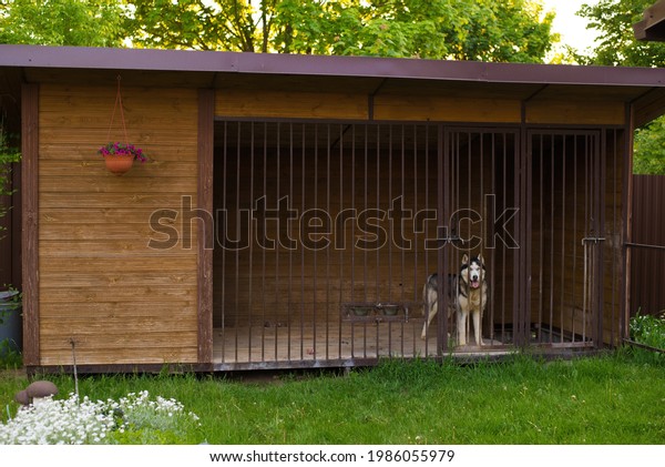 aviary for dogs, a large plot with a house for\
huskies, on the street in the\
yard