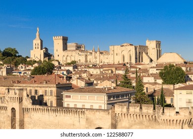 Avignon in Provence - View on city and Popes Palace