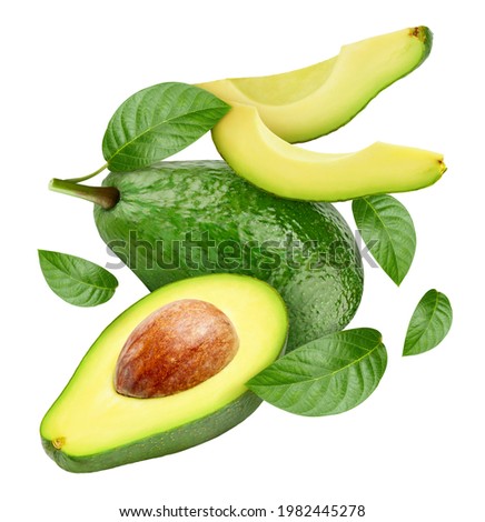 Avocado fruit with avocado leaf isolated on white background. Avocado clipping path. Professional studio macro shooting