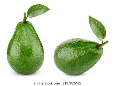 Avocado with leaves. Avocado isolated on white background. Avocado macro. With clipping path