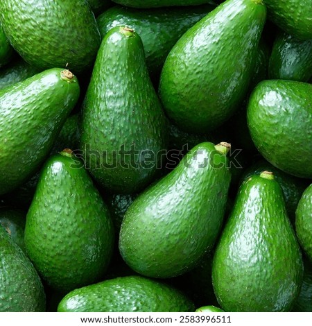 Avocado Shepard Full Frame Fruit