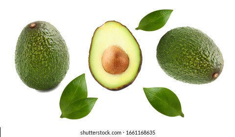 131,118 Avocado leaves Images, Stock Photos & Vectors | Shutterstock