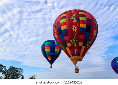 Fly Images Stock Photos Vectors Shutterstock