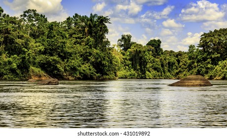 Central Suriname Nature Images, Stock & Vectors | Shutterstock
