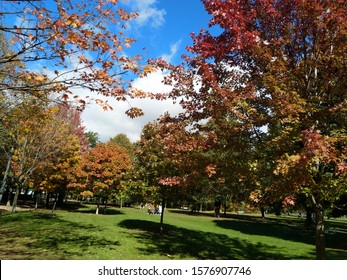 Awe Inspiring Fall Colours At Trinity Bellwoods Park, Toronto