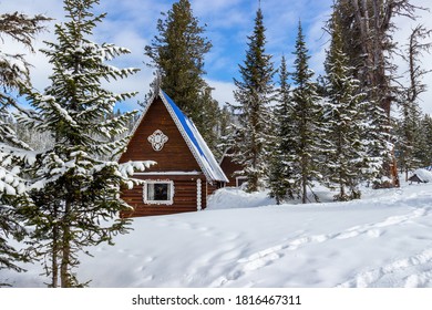 Awe Winter Landscape In A Coniferous Forest Covered With Freshly Fallen Snow In Sunny Day. Cozy Place For Family Holidays