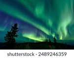 An awe-inspiring aurora borealis illuminating a night sky in Dawson City, Yukon Territory, Canada