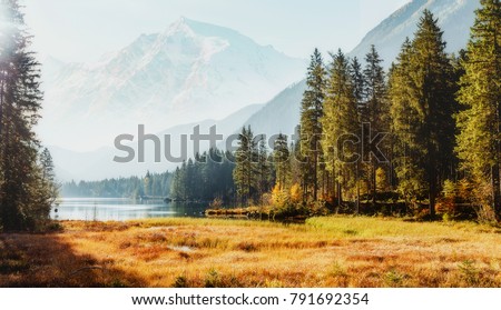Awesome alpine highlands in sunny day. Scenic image of fairy-tale Landscape in sunlit with Majestic Rock Mountain on background. Wild area. Hintersee lake. Germany.  Bavaria, Alps. Creative image