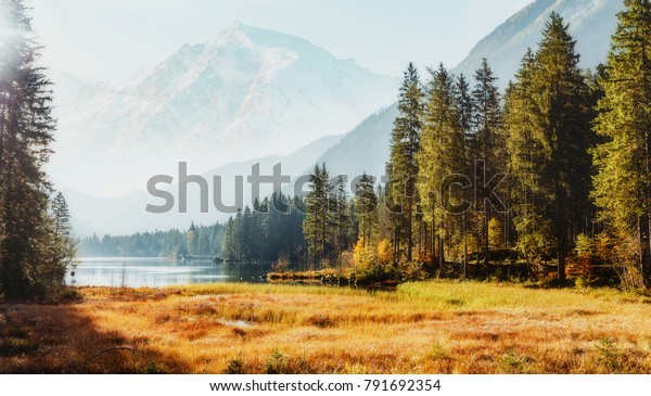 在阳光明媚的日子真棒高山高原 在阳光照射下 雄伟的岩山背景下 童话般的景观景观 野生区 内湖德国巴伐利亚阿尔卑斯山 库存照片 立即编辑