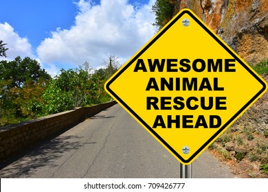 Awesome Animal Rescue Ahead Yellow Road Sign