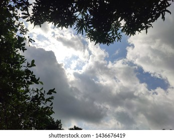 Awesome cloudy sky with trees