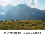 Awesome mountain scenery with big sharp stones in green grass near abyss edge with view to giant mountain in sunlight. Scenic sunny alpine landscape with sharp rocks in grasses near edge of precipice.