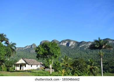 Awesome Nature Green Viñales Valley In Cuba