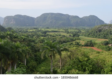 Awesome Nature Green Viñales Valley In Cuba