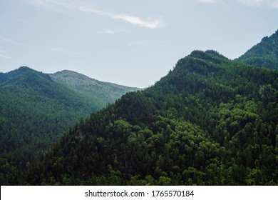 Awesome scenic view to green mountains completely covered by forest under clear blue sky. Lush green hill top in sunny day. Wonderful vivid alpine landscape with wood hills. Colorful highland scenery. - Shutterstock ID 1765570184