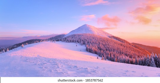 Awesome sunrise. High mountains with snow white peaks. Winter forest. A panoramic view of the covered with frost trees. Natural landscape with beautiful sky. The revival of the planet. - Powered by Shutterstock