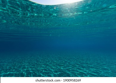 awesome underwater landscape  with blue water wide angle view summer time 