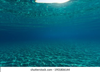 awesome underwater landscape  with blue water wide angle view summer time 