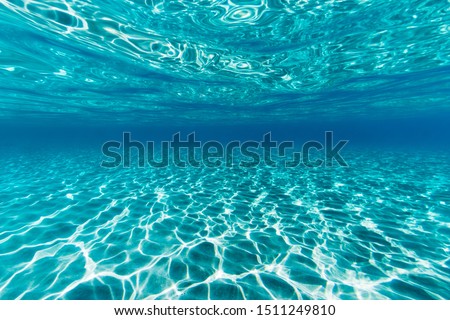 awesome underwater shot of clean sandy sea wide angle view