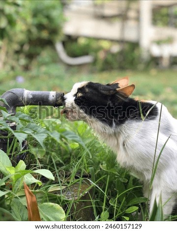 Aww, that cat is really getting into some unusual hobbies! 😸🌿