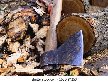 Ax close up. Ax and felled trees. Slivers of trees. Rusty ax. Dark background