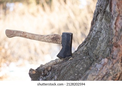 Ax  On The Bark Of A Tree.