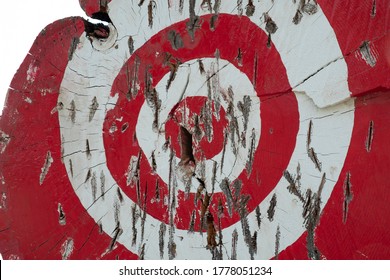 Ax Throwing Target Outdoors, Closeup