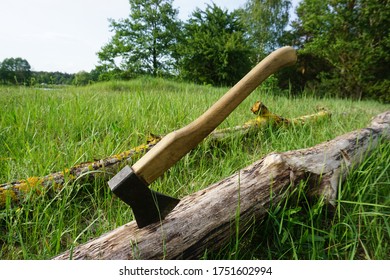 
Ax in a tree trunk