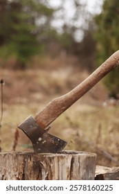 An axe driven into a stump, close-up. An old axe driven into a wooden stump, blurred background. Old tool. Harvesting firewood. An axe with a wooden handle, a rotten stump, autumn. Rural life