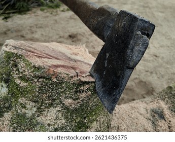 Axe embedded in a cut tree stump or log