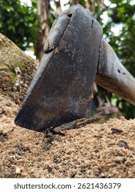 Axe embedded in a cut tree stump or log