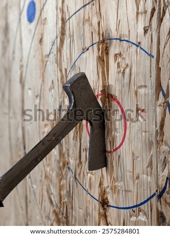 An Axe Head Exactly Hitting the Center of a Target