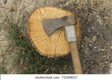 Axe on log, high angle view.