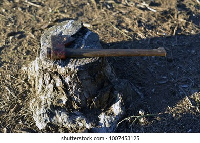 Axe on Stump