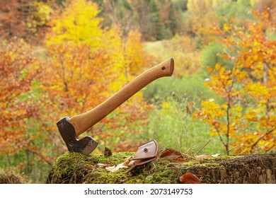 An Axe Stuck Up In The Tree Stump