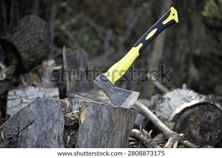an axe in a stump. A close-up view of a rugged axe embedded in a wooden log, evoking notions of forestry, craftsmanship, and outdoor activities in nature. preparing firewood for the winter. tool