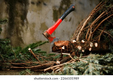 Axe in the trunk of Christmas fir tree cut down for new year celebrations - Powered by Shutterstock