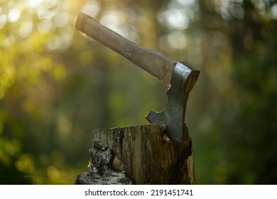 An axe with a wooden handle is stuck into a wooden stump. Axes in the rays of the setting sun in the forest.