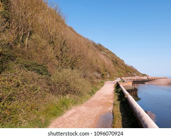 Axmouth-Lyme Regis Undercliffs, National Nature Reserve, Devon, April 2018