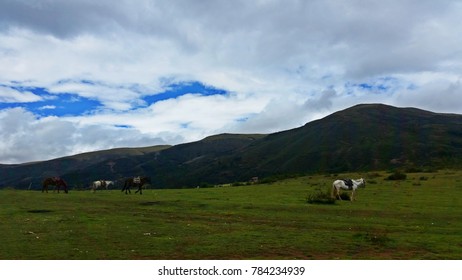 Ayacucho Peru, Perú