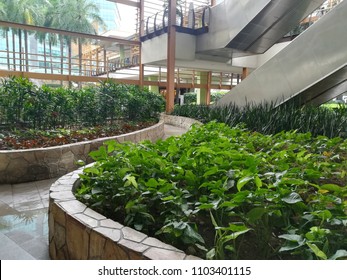 Ayala Center Cebu