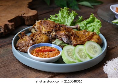 150 Ayam seram Images, Stock Photos & Vectors | Shutterstock